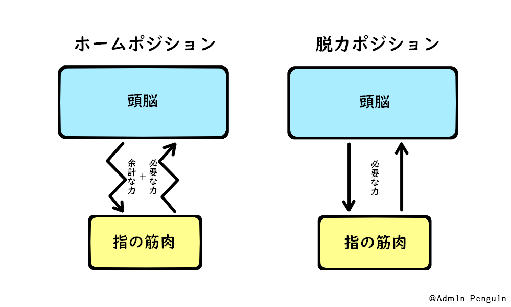 頭脳と指の筋肉との関係